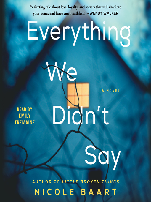 Title details for Everything We Didn't Say by Nicole Baart - Wait list